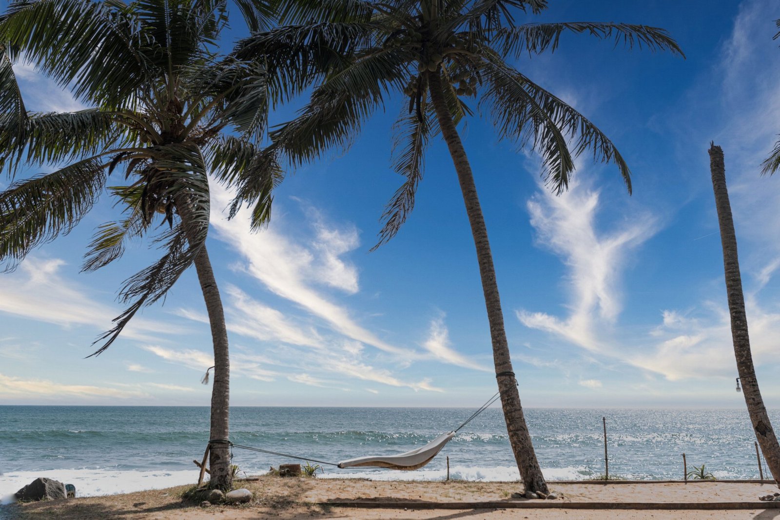 Palm-Fringed Shores