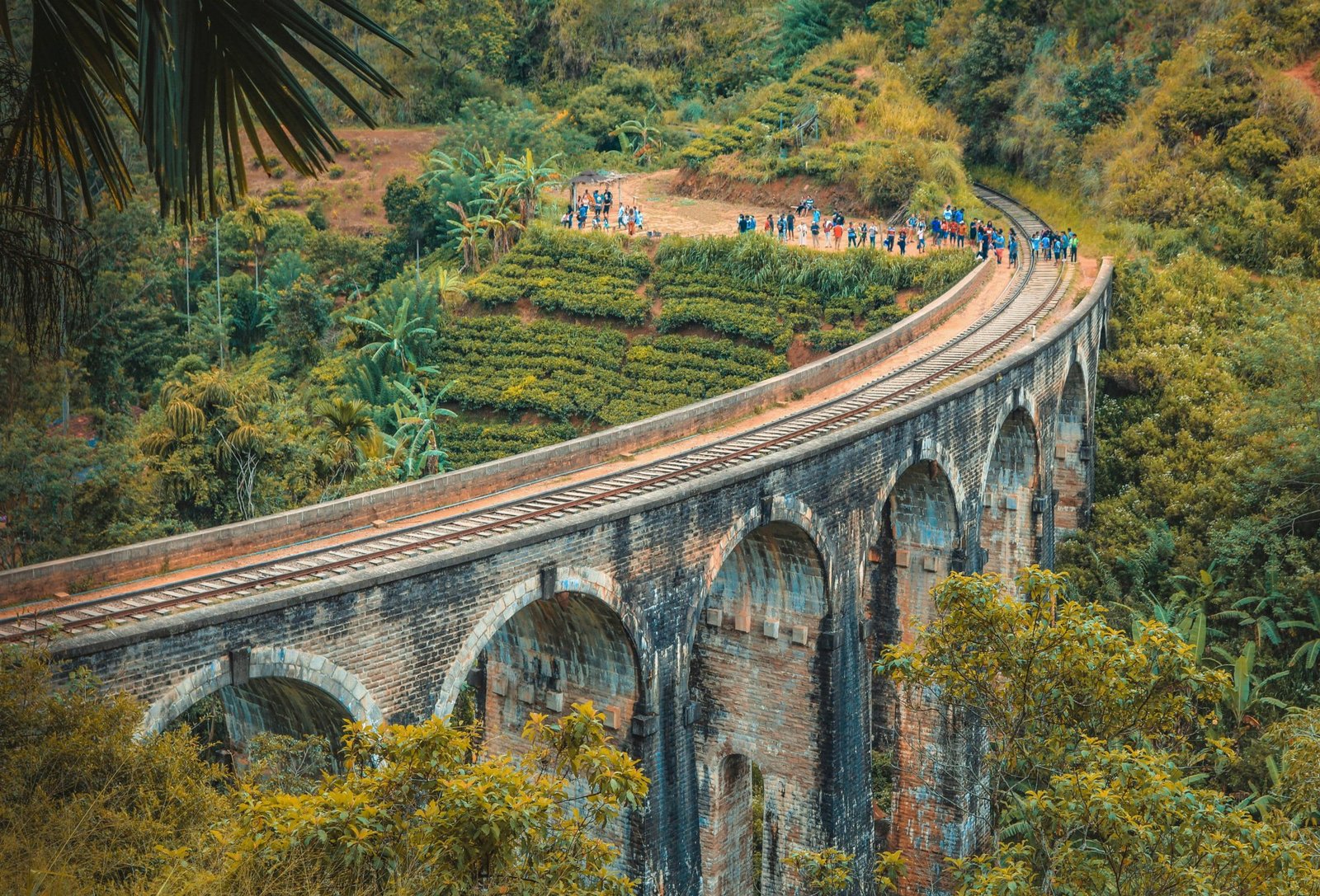 Tea Country Trails