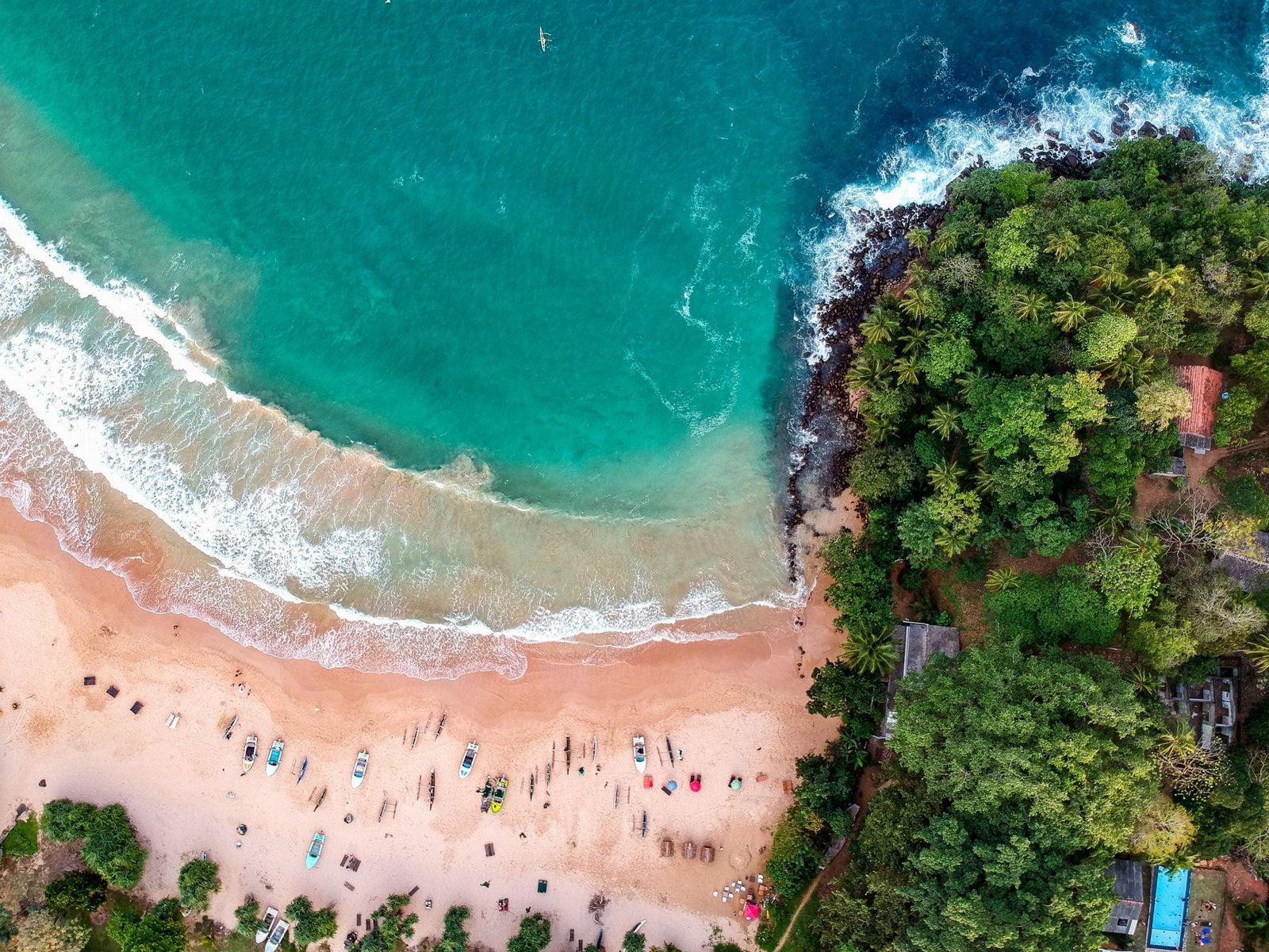 Mirissa Whale Watching & Beach Escape